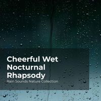 Rain Sounds Nature Collection, ASMR Rain Sounds, Sleepy Rain - Cheerful Wet Nocturnal Rhapsody