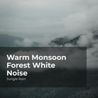 Jungle Rain, Nature and Rain, Deep Rain Sampling - Warm Monsoon Forest White Noise