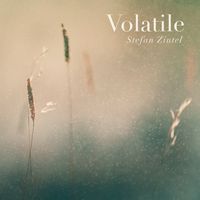 Stefan Zintel - Volatile