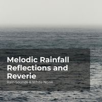 Rain Sounds & White Noise, Raindrops Sleep, Sleep Rain - Melodic Rainfall Reflections and Reverie
