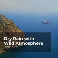 Forest Sounds, Ambient Forest, Rainforest Sounds - Dry Rain with Wild Atmosphere