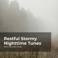 Rain Sounds Sleep, Rain Spa, Rain Sounds for Relaxation - Restful Stormy Nighttime Tunes