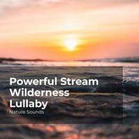Nature Sounds, Sleep Sounds of Nature, Nature Sounds Nature Music - Powerful Stream Wilderness Lullaby