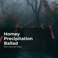 Rain Sounds Sleep, Rain Spa, Rain Sounds for Relaxation - Homey Precipitation Ballad
