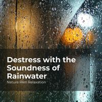 Nature Rain Relaxation, Rain Recorders, Rainfall - Destress with the Soundness of Rainwater