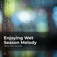 Heavy Rain Sounds, Rain Shower Spa, Lullaby Rain - Enjoying Wet Season Melody
