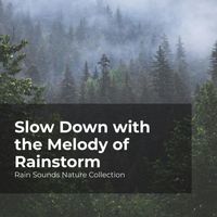 Rain Sounds Nature Collection, ASMR Rain Sounds, Sleepy Rain - Slow Down with the Melody of Rainstorm