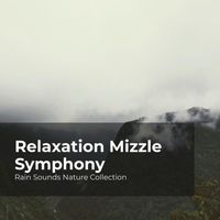 Rain Sounds Nature Collection, ASMR Rain Sounds, Sleepy Rain - Relaxation Mizzle Symphony