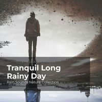 Rain Sounds Nature Collection, ASMR Rain Sounds, Sleepy Rain - Tranquil Long Rainy Day