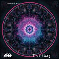 Electronic Youth - True Story