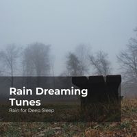 Rain for Deep Sleep, Ambient Rain, Gentle Rain Makers - Rain Dreaming Tunes