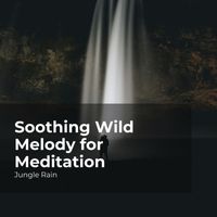 Jungle Rain, Nature and Rain, Deep Rain Sampling - Soothing Wild Melody for Meditation
