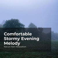 Nature Rain Relaxation, Rain Recorders, Rainfall - Comfortable Stormy Evening Melody