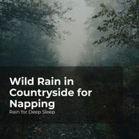 Rain for Deep Sleep, Ambient Rain, Gentle Rain Makers - Wild Rain in Countryside for Napping