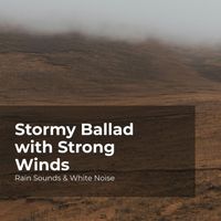 Rain Sounds & White Noise, Raindrops Sleep, Sleep Rain - Stormy Ballad with Strong Winds