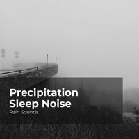 Rain Sounds, Natural Rain Sounds for Sleeping, Rain Storm Sample Library - Precipitation Sleep Noise