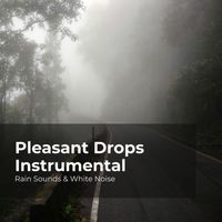 Rain Sounds & White Noise, Raindrops Sleep, Sleep Rain - Pleasant Drops Instrumental