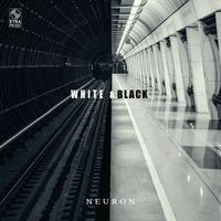 Neuron - White & Black