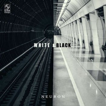 Neuron - White & Black