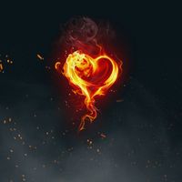 Wasonblack - Heart in Fire