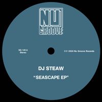 Dj Steaw - Seascape EP
