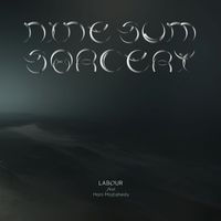 LABOUR - nine-sum sorcery feat. Hani Mojtahedy