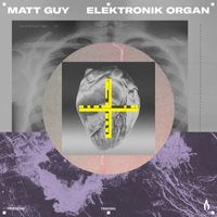 Matt Guy - Elektronik Organ (Extended Mix)