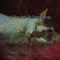 Spa - 42 Sounds To Sap Energy