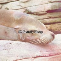 Sleep Sounds of Nature - 57 Beauty Sleep