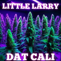 Little Larry - DAT CALI