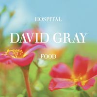 David Gray - Hospital Food, Pt. 1