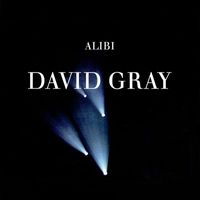 David Gray - Alibi, Pt. 2
