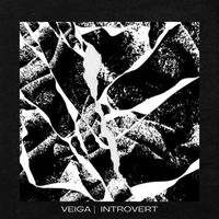 Veiga - Introvert EP