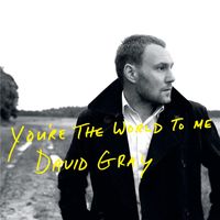 David Gray - You're the World to Me (Live)