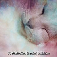 Rain Sounds & White Noise - 30 Meditation Evening Lullabies