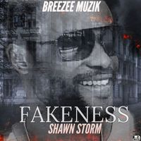 Shawn Storm - FAKENESS (Official Audio)