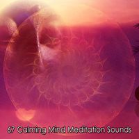 White Noise Research - 67 Calming Mind Meditation Sounds