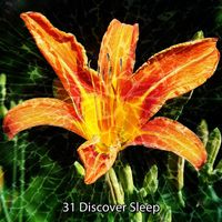 Relaxing With Sounds of Nature and Spa Music Natural White Noise Sound Therapy - 31 Discover Sleep