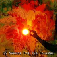 Brain Study Music Guys - 55 Sounds For The Soulful