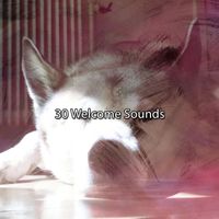 White Noise Babies - 30 Welcome Sounds