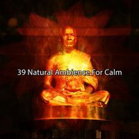 Yoga - 39 Natural Ambience For Calm