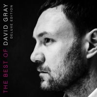 David Gray - The Best of David Gray (Deluxe Edition)