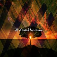 Ambiente - 50 Wanted Sanctuary