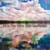 White Noise Research - 33 In The Wilds With Meditation