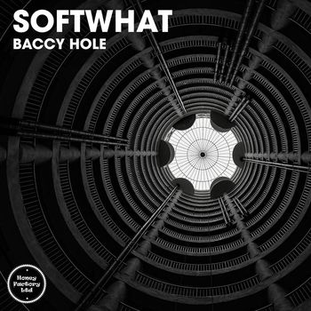 Softwhat - Baccy Hole