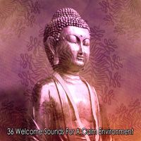 Guided Meditation - 36 Welcome Sounds For A Calm Environment