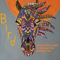 Bird - Little Did I Know Then (Are You Kidding Me)