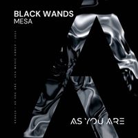Black Wands - Mesa