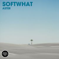 Softwhat - Aster