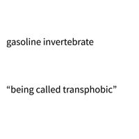 Gasoline Invertebrate - Being Called Transphobic